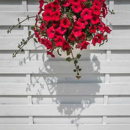 Fronte Mare Lory Appartement Lignano Sabbiadoro