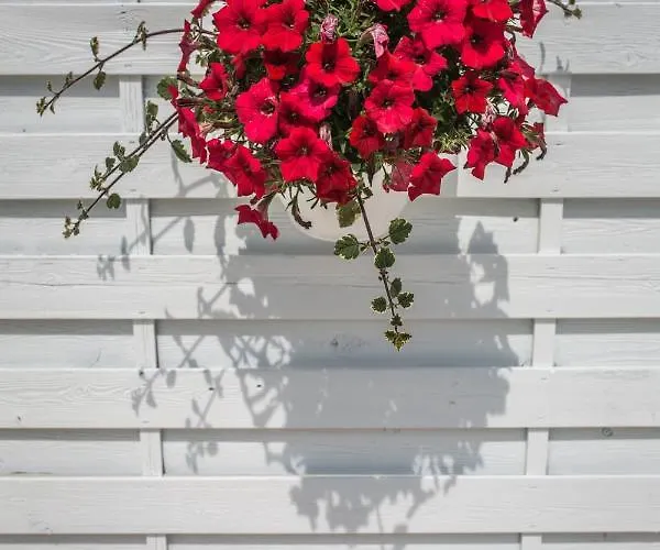 Fronte Mare Lory Apartment Lignano Sabbiadoro